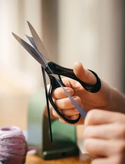 STUD Scissors 18cm 6/36 16L - Saxar