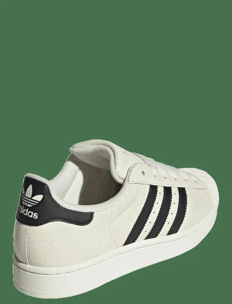 SUPERSTAR II W - Låga sneakers
