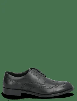 T53 2053 - Brogues