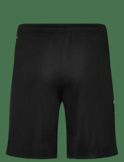 teamLIGA Training Shorts - Träningsshorts