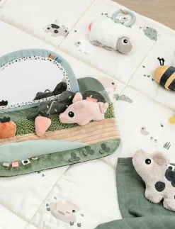 Tummy time sensory mirror Tiny farm Colour mix - Babygym