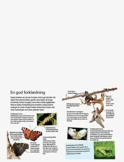 Ud i naturen Insekter & edderkopper - Pedagogisk barnbok