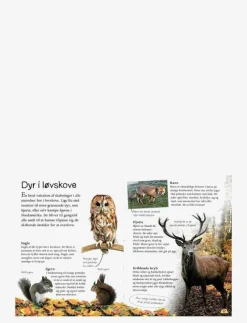 Ud i naturen Skoven - Pedagogisk barnbok