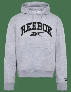 VARSITY HIGH DENSITY HOODIE - Huvtröjor