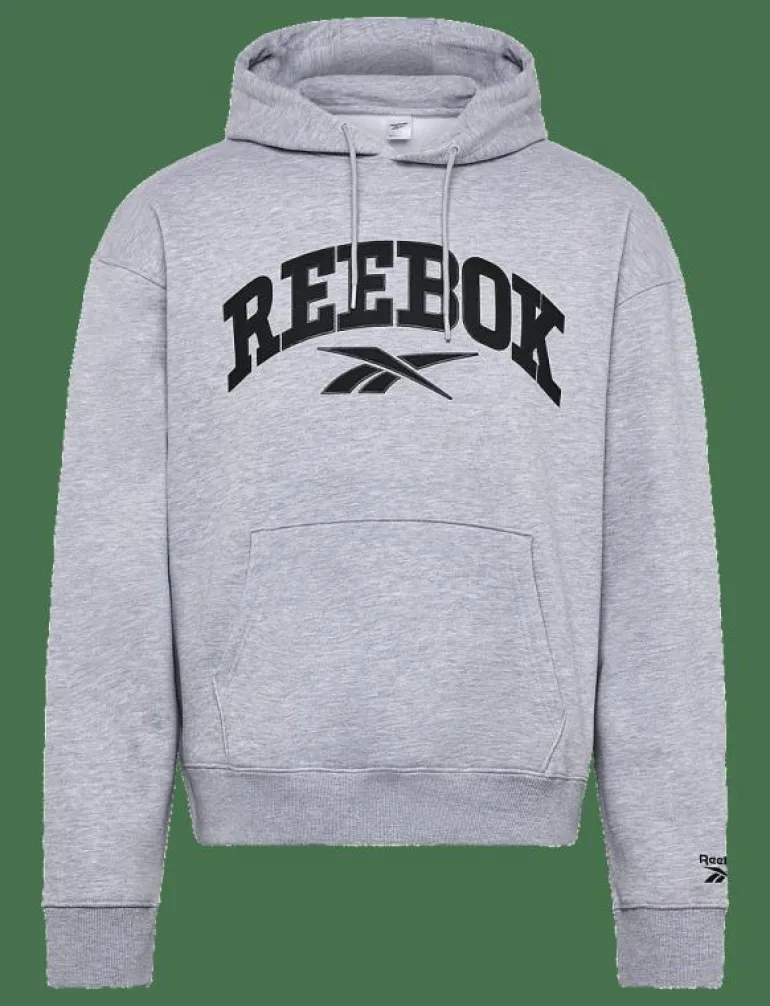 VARSITY HIGH DENSITY HOODIE - Huvtröjor
