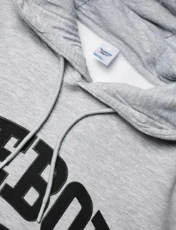 VARSITY HIGH DENSITY HOODIE - Huvtröjor