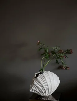 Vase Shell - Tulpanvas