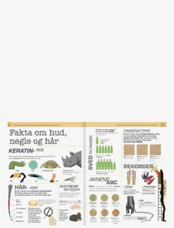 Vilde spørgsmål - Vilde svar KROPPEN - Pedagogisk barnbok